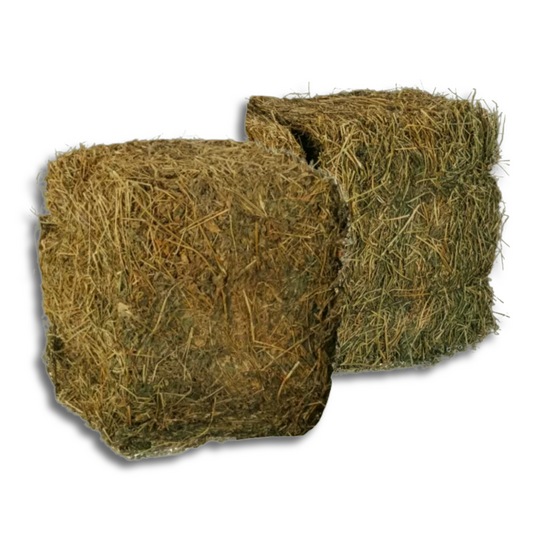 Peanut Hay (Al Sanad International)