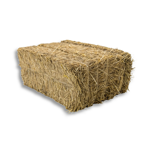 Wheat Hay (Al Sanad International)