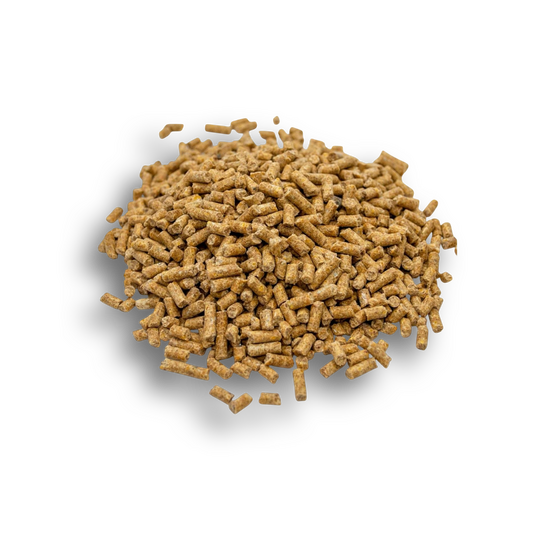 Cottonseed Meal (Al Sanad International)