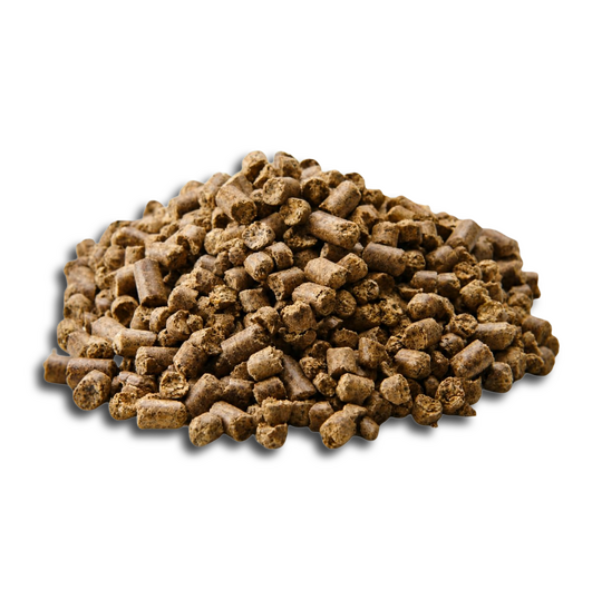 Cottonseed Meal (Al Sanad International)