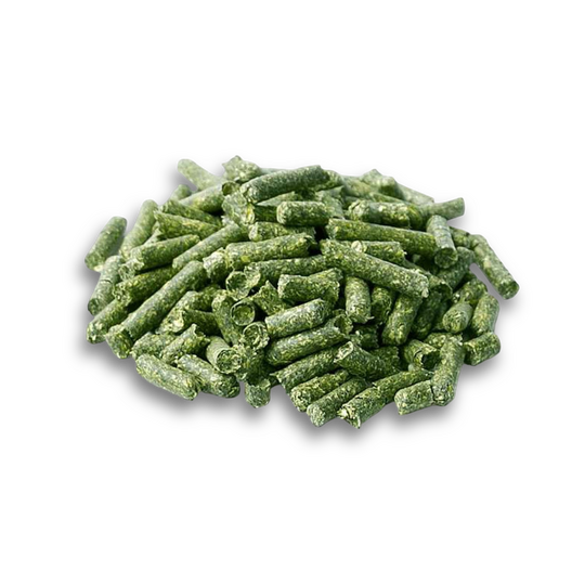 Cottonseed Meal (Al Sanad International)