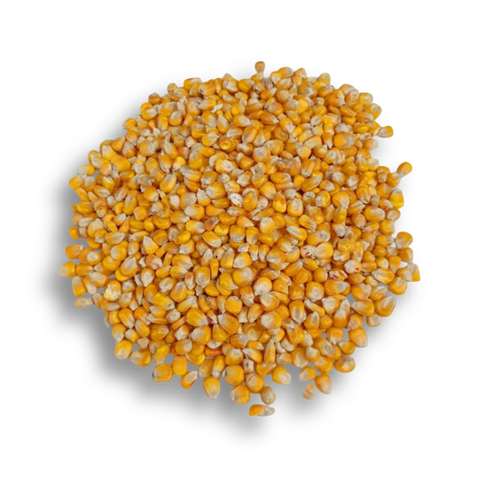 Yellow Maize (Al Sanad International)